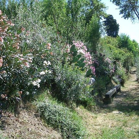 Gli Oleandri Guest House Castelfiorentino Exterior photo